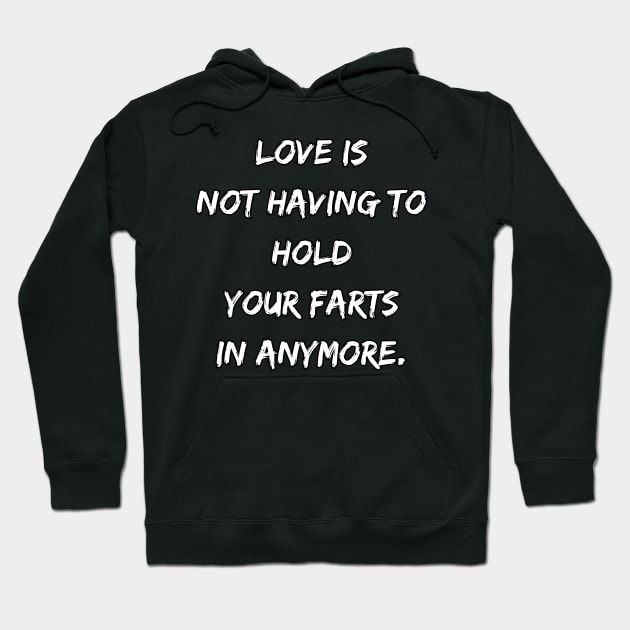 Love Is Not Having To Hold Your Fasrts In Anymore Hoodie by DivShot 
